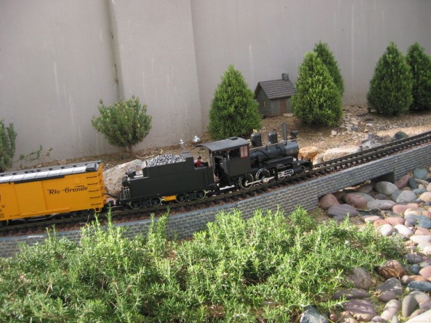 Annual garden rail tour on track